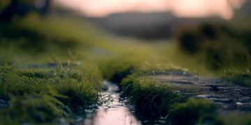 相逢不过八千里出自哪首歌？