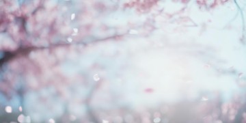 我们也曾一拍两散出自哪首歌？