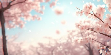 莫再留恋出自哪首歌？