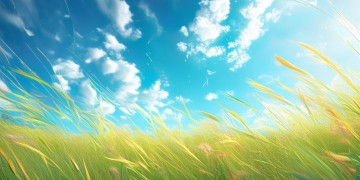 夏天谁对你最钟情到底是哪首歌？