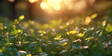 毕业歌究竟体现了什么精神？