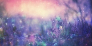 相忘永不能忘究竟是哪首歌？