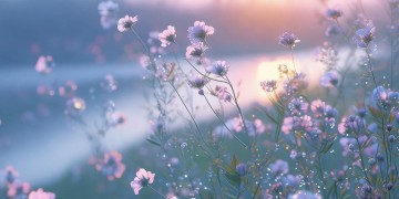 咋爹妈歌词出自哪首歌？