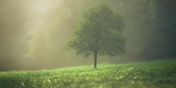 有你的地方没有爱究竟是哪首歌？
