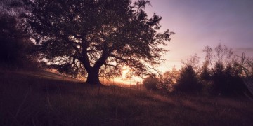 骨子里高傲究竟是哪首歌？