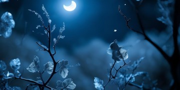 夜空中的小宝贝究竟是哪首歌？