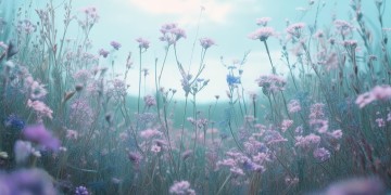 最空灵的音乐究竟是哪首歌？