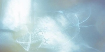 需要人来陪出自哪首歌？