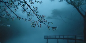 粤语歌〈死性不改〉究竟是什么意思？