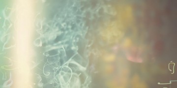 也有人觉得你傻究竟是哪首歌？
