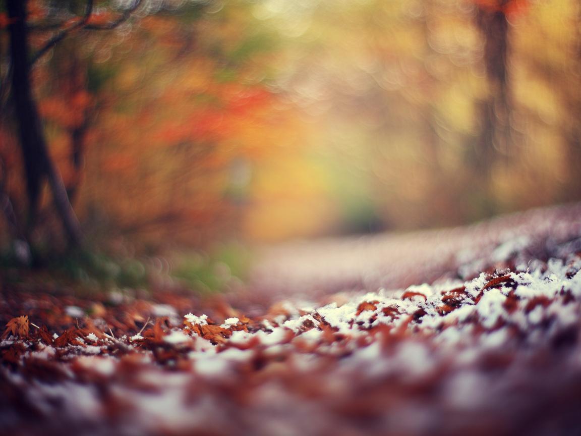 度过了三个春秋究竟是哪首歌? 度过了三个春秋究竟是哪首歌?