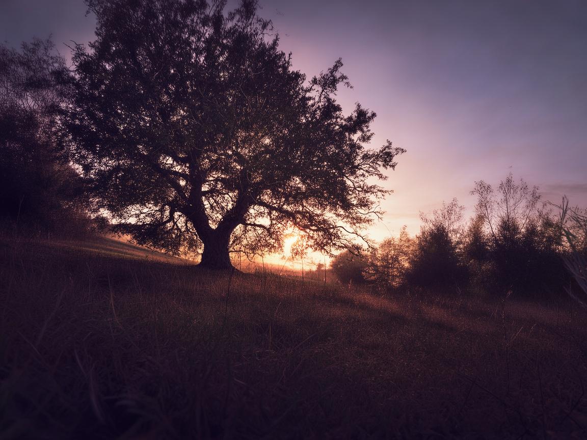 骨子里高傲究竟是哪首歌？