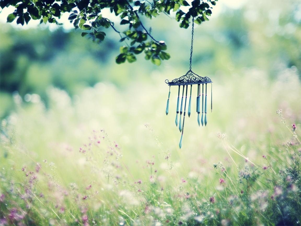 时间的风吹向你到底是什么歌? 时间的风吹向你到底是什么歌?